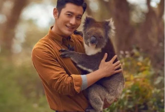 南澳旅游局：黄晓明再度当选南澳旅游大使！