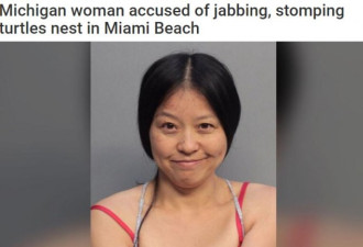 华人大姐去了趟海滩，为何竟面临牢狱之灾？