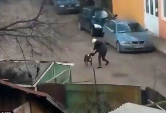 男子勇救被恶犬袭击女子  竟被咬掉…