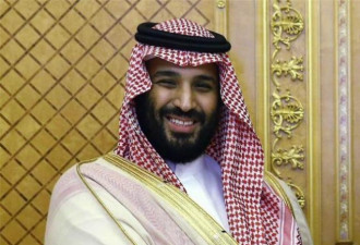 与恐怖份子当狱友 沙特又有11名王子被捕