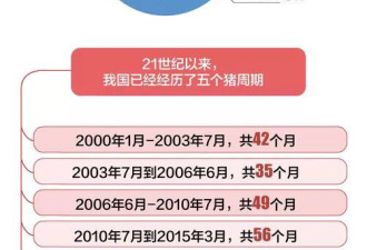 中国人吃掉全球一半的猪肉 猪肉中的"经济学"
