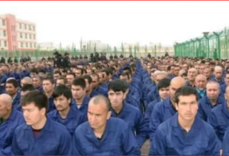 新疆被捕和监禁人数十年飙升