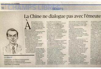 中国驻法大使:自由非暴力借口