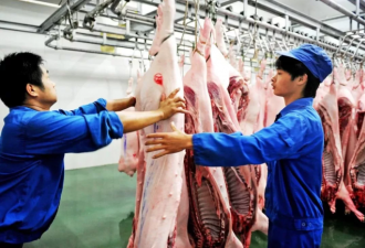 全球猪肉出口 都不一定能补上中国的缺口