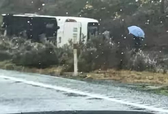 5死两重伤！新西兰华人旅行团发生惨烈车祸