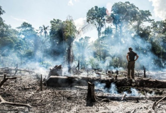 杜鲁多拨1500万助亚马逊灭火