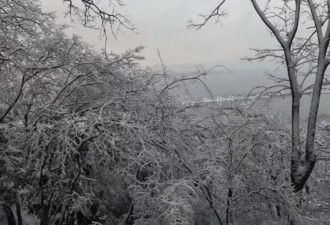 杭州积雪厚达12厘米 西湖边白茫茫一片