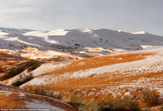 撒哈拉沙漠下雪了，40年来第三次 眼前一片苍茫