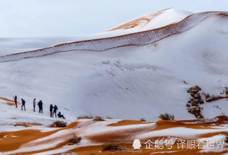 撒哈拉沙漠竟然降下40厘米暴雪 孩子们乐开花