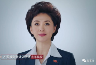央视女主播海霞在中纪委的特殊身份