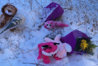 今阴天-3C有飘雪 多伦多5岁女童被两车夹死