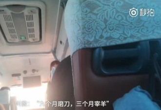 谩骂殴打游客的“雪乡游”导游被抓住了