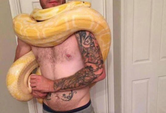 男子养蛇16年 却被宠物蟒蛇缠死在家中