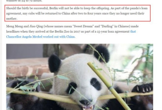 “国宝”熊猫名字要被反华势力抢走?