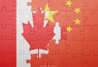 加拿大寻求世贸组织协助芥花籽复运中国