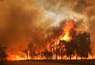 昆州多地山火失控!房屋被焚毁数百民众紧急撤离