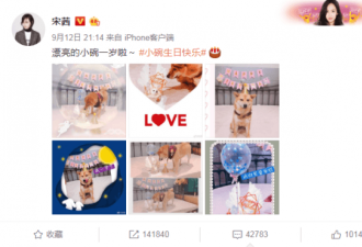 “锅碗瓢盆”一岁 宋茜等铲屎官为爱犬庆生
