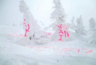 中国旅客在日本八甲田山上荧光喷雾留字