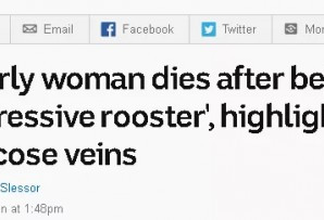 最近一澳洲大妈离奇死亡，竟然是被公鸡啄死的