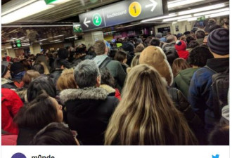 多伦多TTC今晨瘫痪！到处挤成一锅粥！全疯了！