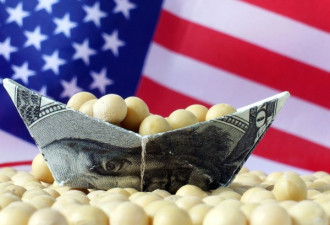 美国农业部确认中国采购20.4万吨美国大豆