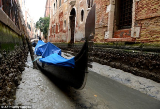 威尼斯没水了 英媒：“超级蓝血月”惹的祸
