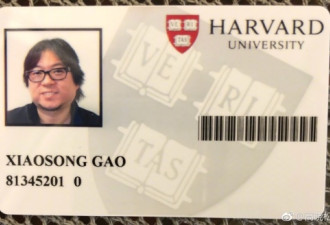 高晓松入职哈佛成研究员：做个较好的知识分子