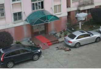 传疯了！中国网络惊现一张军人自杀照片