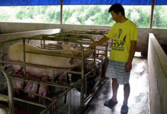 万万没想到！二师兄的肉会比师父的还贵…