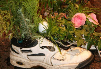 养花种草系列175：鞋子种花神奇的花器