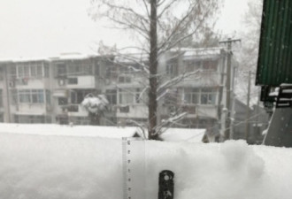 南京的第三场暴雪来了 北京网友很哀怨…