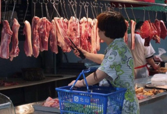 中国专家：市场不会让猪肉价格长期居高不下