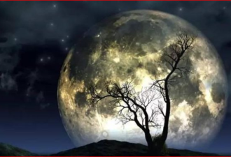 专题讨论：月球的十个未解之谜 探讨精密的月球