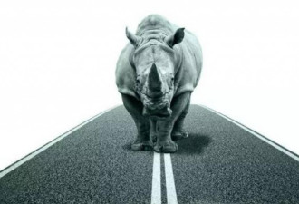 中国股市的“灰犀牛”已经在蠢蠢欲动