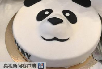 中国大熊猫首次“北漂”芬兰 享“总统级接待”