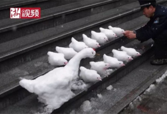 地域限制了才华！杭州保安雪天堆出动物园