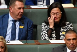 澳洲的中国恐惧症 华裔女议员涉华背景受到压力