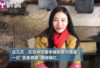 20岁的脸，40岁的手 “卖鱼西施”爆红网络