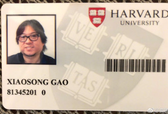 哈佛迎来了史上脸最大的研究员，高晓松
