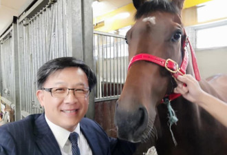 示威者竟盯上何君尧的马,香港赛马会取消比赛