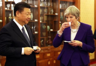 梅姨与习近平在北京品茶聊天 好不悠哉