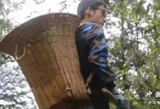 被清华校长点名的新生火了:收到录取通知正搬砖