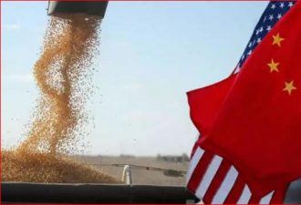 美农业部连续第三日证实中国购买大豆