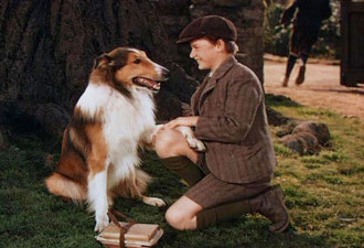 电影欣赏：Lassie Come Home 灵犬莱西