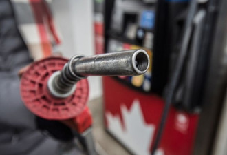 加拿大8月通货膨胀率低至1.9% 油价肉价下跌