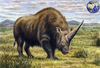 地球史上最大的有角犀牛 仅牛角就达2米