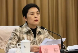 已10年副部，中国最年轻女性副省长仕途有变