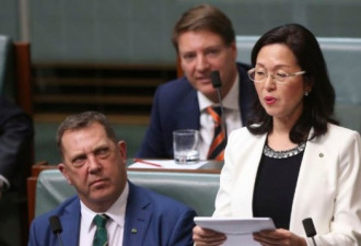 澳洲首位华裔议员因有中共的关系受到质疑