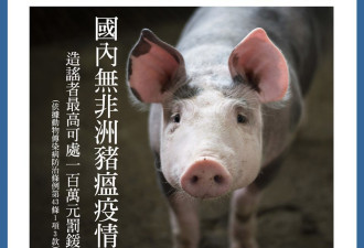 韩国猪瘟 专家警告防疫失败将30年吃不到国产猪