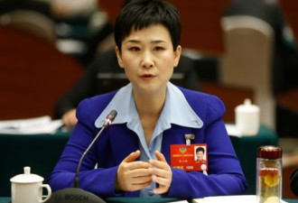 李小琳落选政协委员 有何玄机？